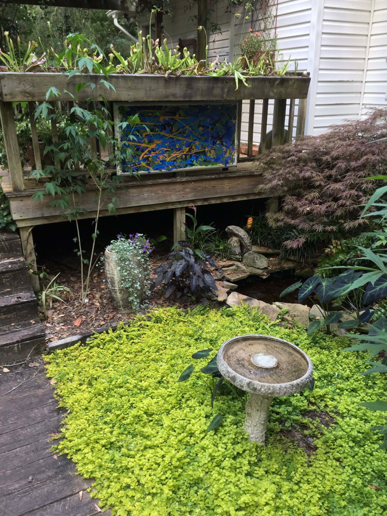 Gardening